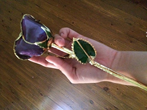 Product: Gold-Trimmed Purple Preserved Rose