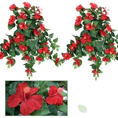 Product: Arcadia Silk Plantation 29" Artificial Hibiscus Hanging Flower Bushes, with No Pot, (Pack of 4)