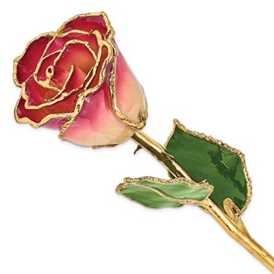 Product: Allmygold 11" 24K Gold Dipped Real Rose (White & Burgundy)