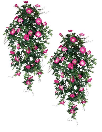 Arcadia Silk Plantation 40" Morning Glory Artificial Hanging Flower Bushes, with No Pot, (Pack of 6) - Artificial Flower Arrangements Product: Arcadia Silk Plantation 40" Morning Glory Artificial Hanging Flower Bushes, with No Pot, (Pack of 6)