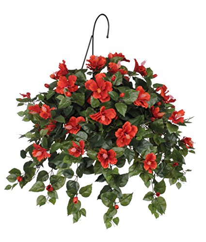 House of Silk Flowers Artificial Red Hibiscus Hanging Basket - Artificial Flower Arrangements Product: House of Silk Flowers Artificial Red Hibiscus Hanging Basket