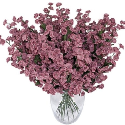 Product: 1920 Baby's Breath Gypsophila Artificial Silk Flowers_Mauve