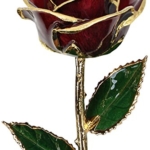 Product: Living Gold Burgundy 24k Gold Rose Real Rose Dipped in Gold