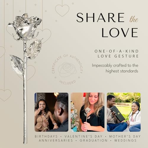 Product: Forever Rose Real Rose Dipped in Silver, Handcrafted Preserved Rose in Luxury Gold Gift Box, Romantic Gift for Her, Elegant Keepsake for Anniversary, Birthday, or Any Special Occasion