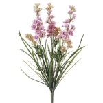 Product: 24.5" Delphinium Bush x3 Pink Cream (Pack of 12)