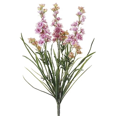 Product: 24.5" Delphinium Bush x3 Pink Cream (Pack of 12)