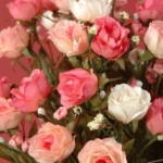 Product: 12" Sweetheart Rose Bush x14 Pink Cream (Pack of 24)