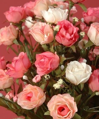 Product: 12" Sweetheart Rose Bush x14 Pink Cream (Pack of 24)
