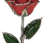 Product: Allmygold One 11 inch Laquered Red Rose with Platinum Trim