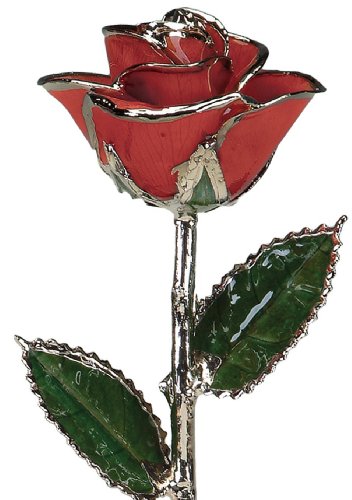 Product: Allmygold One 11 inch Laquered Red Rose with Platinum Trim