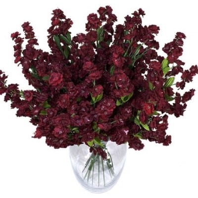 Product: 1920 Baby's Breath Gypsophila Artificial Silk Flowers_Burgundy/Red