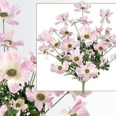 Product: 23" Cosmos Artificial Flowers Silk Plants for Home Decoration (Pack of 6)