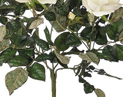 Product: Artificial 21-inch Cream Garden Rose Bush (Set of 6)