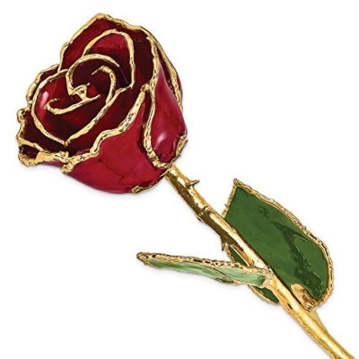 Product: Allmygold 11" 24K Gold Dipped Real Rose (Burgundy)