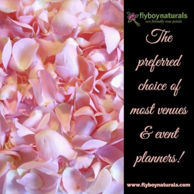 Silky Flower Store Real Rose Petals Bridal Pink, Eco-Friendly Freeze-Dried Petals Made in USA, 30 Cups 9 9 Product: Rose Petals Bridal Pink. Sale on 30 Cups. Real Rose Petals. Eco-Friendly. Made in The USA. No Tariffs.