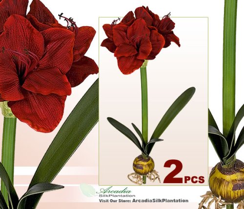 Product: Arcadia Silk Plantation TWO Artificial 24" Amaryllis Bendable Flowers for Christmas Decoration