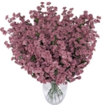 Product: 1920 Baby's Breath Gypsophila Artificial Silk Flowers_Mauve