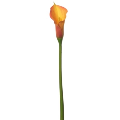 Product: 31.5" Silk Calla Lily Flower Spray -Orange (Pack of 12)