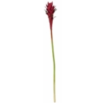 Product: SilksAreForever 32" Artificial Guzmania Bromeliad Flower Stem -Red (Pack of 12)