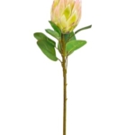 Product: Jucgghk Vivid and Realistic Floral Art Real Touch King Protea Stem, Large Head Artificial Flower for Indoor Vase Home Table Centerpieces Wedding(NO VASE)