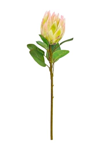 Product: Jucgghk Vivid and Realistic Floral Art Real Touch King Protea Stem, Large Head Artificial Flower for Indoor Vase Home Table Centerpieces Wedding(NO VASE)