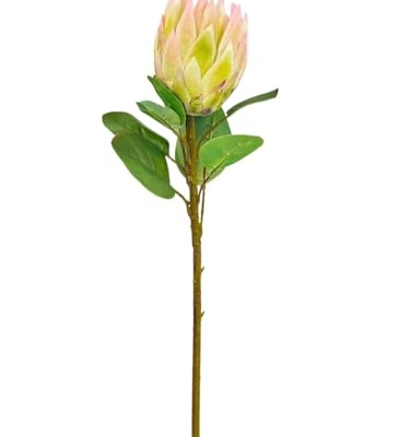 Product: Real Touch King Protea Stem, Large Head Artificial Flower for Indoor Vase Home Table Centerpieces Wedding(NO VASE) for Wedding/Home Decoration