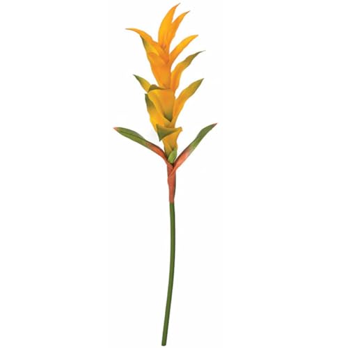 Product: SilksAreForever 28" Handwrapped Soft Touch Artificial Guzmania Bromeliad Flower Stem -Yellow/Orange (Pack of 12)
