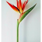 Product: 6 Steams 31-inch Orange Bird of Paradise Stem, Tropical Silk Flower Floral Arrangements for Wedding, Birthday Party Decoration, Christmas, Valentine's Day, Mother's Day,Anniversary, Graduation Garland