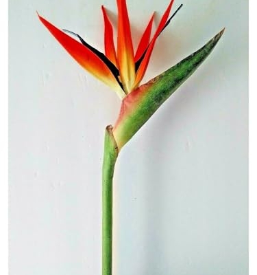 Product: 6 Steams 31-inch Orange Bird of Paradise Stem, Tropical Silk Flower Floral Arrangements for Wedding, Birthday Party Decoration, Christmas, Valentine's Day, Mother's Day,Anniversary, Graduation Garland