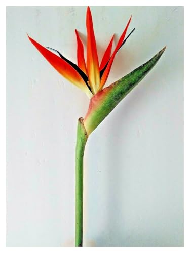 Product: 6 Steams 31-inch Orange Bird of Paradise Stem, Tropical Silk Flower Floral Arrangements for Wedding, Birthday Party Decoration, Christmas, Valentine's Day, Mother's Day,Anniversary, Graduation Garland