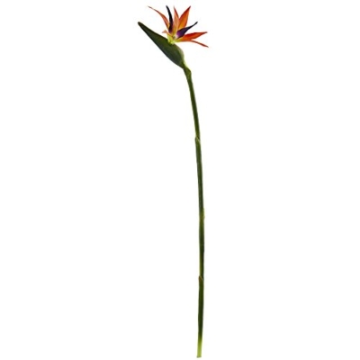 Product: Nearly Natural 35 in. Bird of Paradise Artificial (Set of 4) Silk Flowers, 6x4x35, Orange