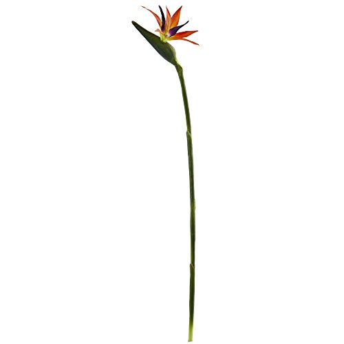 Product: Nearly Natural 35 in. Bird of Paradise Artificial (Set of 4) Silk Flowers, 6x4x35, Orange