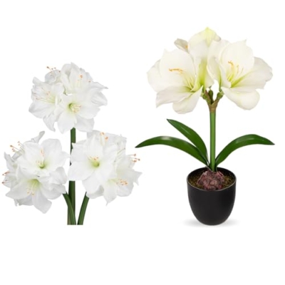 Product: Briful 2 Pack White Amaryllis Artificial Flower Bundle for Home Office Room Table Vase Arrangement Centerpiece