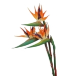 Product: WwWsyfdc 3pcs Simulated Bird of Paradise Flowers, Fake Bird of Paradise Strelitzia, Imitation Silk Plants for Home Office Wedding Table Decoration(3pcs-Orange,Large)