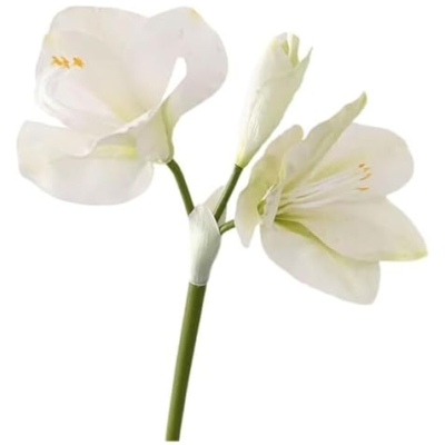 Product: ZXDdxjiu Faux Flowers,Fake Flowers, Artificial Amaryllis Flowers, 21.5 inches, Red, White, Pink, Set of 3, Faux Lilies for Wedding, Home, Office, Hotel Decor(White)