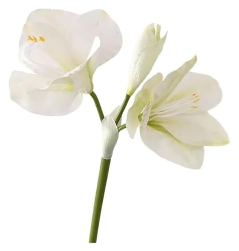 Product: ZXDdxjiu Faux Flowers,Fake Flowers, Artificial Amaryllis Flowers, 21.5 inches, Red, White, Pink, Set of 3, Faux Lilies for Wedding, Home, Office, Hotel Decor(White)