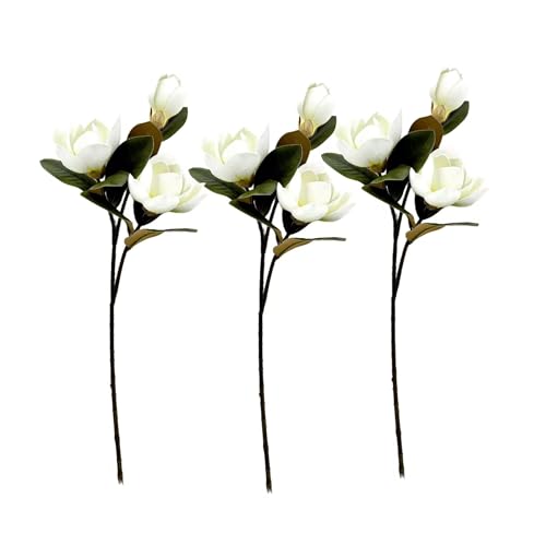 3PCS White Real Touch 3 Heads Magnolia Stem,30" Realistic Artificial Flower for Wedding Table DIY Floral Arrangement Party Home Decor(NO VASE) for Wedding/Home Decoration - Artificial Flower Arrangements Product: 3PCS White Real Touch 3 Heads Magnolia Stem,30" Realistic Artificial Flower for Wedding Table DIY Floral Arrangement Party Home Decor(NO VASE) for Wedding/Home Decoration