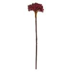 Product: Nearly Natural 22” Succulent Sedum Artificial (Set of 12) Silk Plants, Burgundy