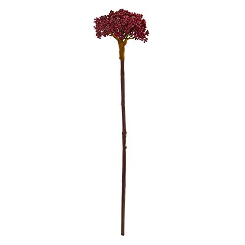 Nearly Natural 22” Succulent Sedum Artificial (Set of 12) Silk Plants, Burgundy - Artificial Flower Arrangements Product: Nearly Natural 22” Succulent Sedum Artificial (Set of 12) Silk Plants, Burgundy