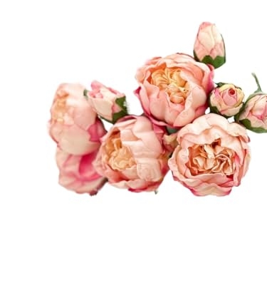 Product: 10 Stems Cream Artificial Wedding Flowers,Dried Pink Peonies for Home Decoration Gifts Decor(NO VASE) for Wedding/Home Decoration(Cream)