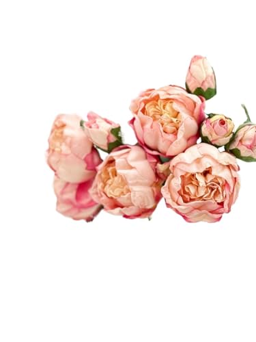 Product: 10 Stems Cream Artificial Wedding Flowers,Dried Pink Peonies for Home Decoration Gifts Decor(NO VASE) for Wedding/Home Decoration(Cream)