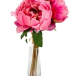 Product: 5 Stem Pink Flowers Tipped,Artificial Peony Bouquet for Indoor Vase Home Table Centerpieces Wedding(NO VASE) for Wedding/Home Decoration