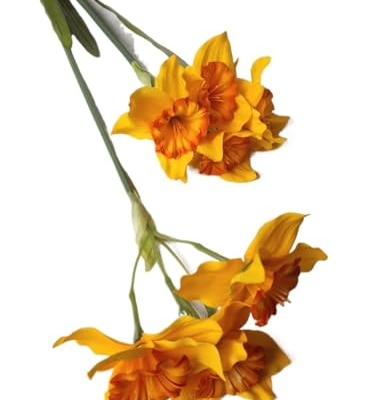 Product: Jucgghk Vivid and Realistic Floral Art 5 PCS Yellow Artificial Daffodil,Beautiful Spring Flowers for Wedding Bridal Bouquets, Floral Arrangement, Table Centerpieces, Home Decorations