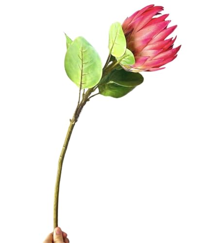 Product: Jucgghk Vivid and Realistic Floral Art Bright Real Touch King Protea Stem, Large Head Artificial Flower for Centerpieces | DIY Floral | Wedding/Home Decoration Gifts, Anniversary, Birthday