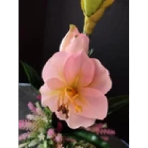 Silky Flower Store Mini Amaryllis Pink Silk Floral Arrangement, Faux Artificial Flowers, Decorative Home Accent, 20.5cm 3 3 Product: Mini Amaryllis Silk Floral Arrangements Pink Artificial Flowers