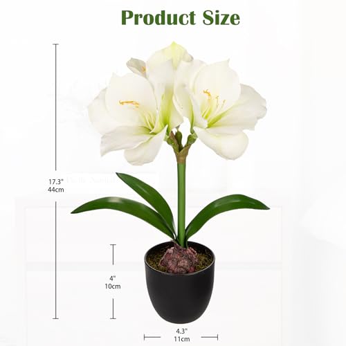 Product: Briful 2 Pack White Amaryllis Artificial Flower Bundle for Home Office Room Table Vase Arrangement Centerpiece