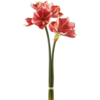 Product: 32" Amaryllis Silk Flower Stem Bundle -Crimson (Pack of 12)