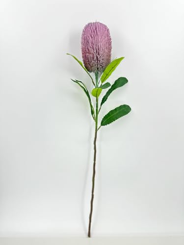 Product: 5 Stems Banksia Protea Stem,Purple Artificial Long Stem Flower for Table Centerpieces Wedding Party Home Decoration Indoor(NO VASE)
