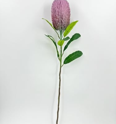 Product: 5 Stems Banksia Protea Stem,Purple Artificial Long Stem Flower for Table Centerpieces Wedding Party Home Decoration Indoor(NO VASE) for Wedding/Home Decoration