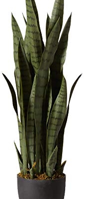 Product: Nearly Natural, Green 4855 35in. Sansevieria with Black Planter